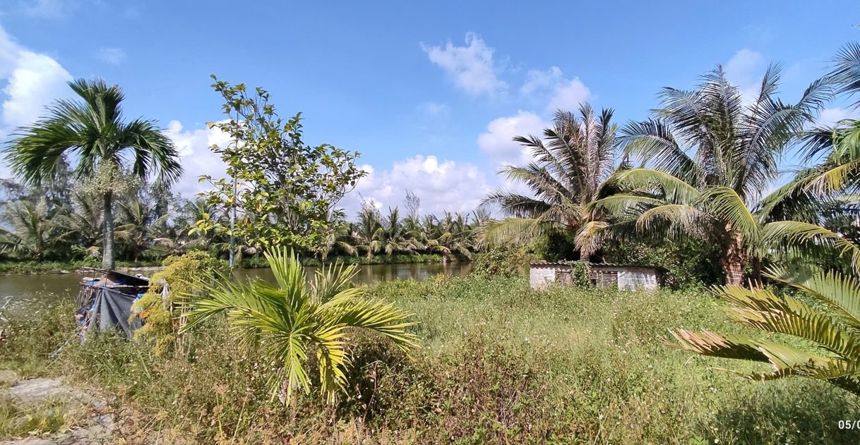 Bán Lô Đất Trang Trại Hơn 5000m² tại Kiến Thụy – Hải Phòng - Ảnh 3